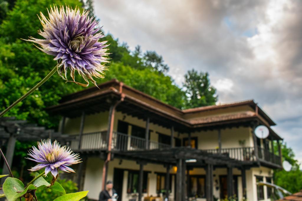 Guest House Verbena Apriltsi  Eksteriør billede